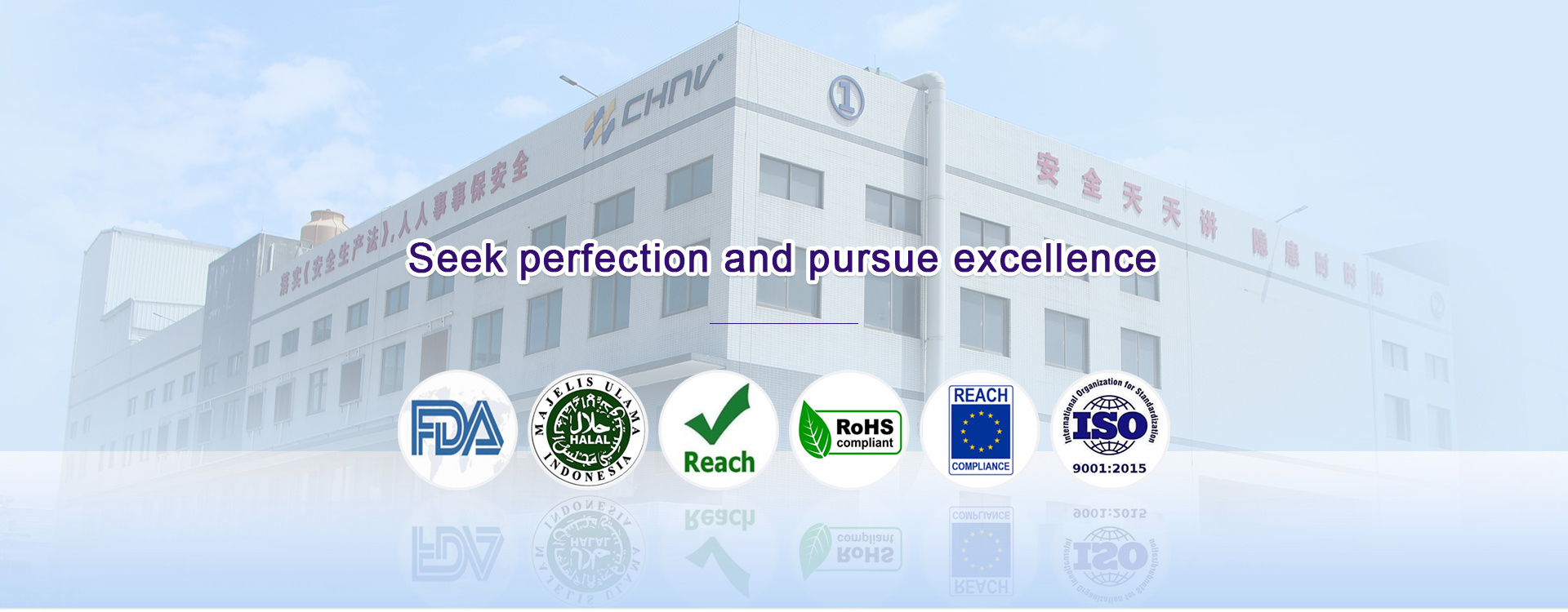 Striving for excellence for twenty years.
